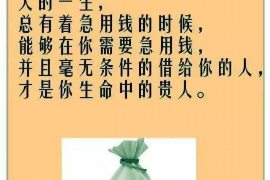 琼中遇到恶意拖欠？专业追讨公司帮您解决烦恼