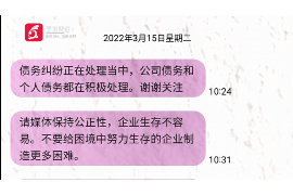 琼中为什么选择专业追讨公司来处理您的债务纠纷？